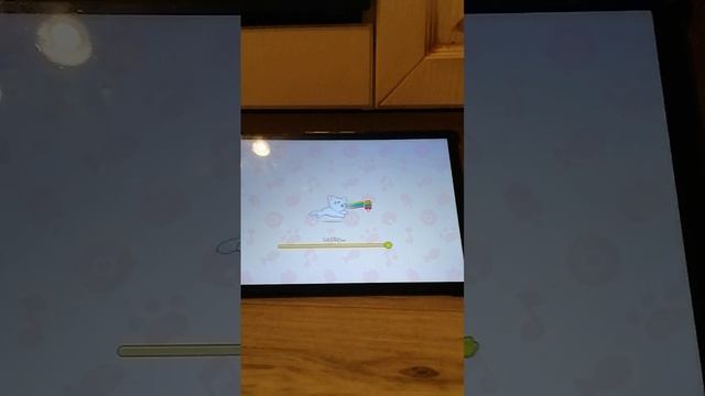 Cat Dash.