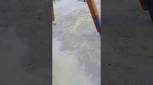 Море Ахапка дроф часть 3
