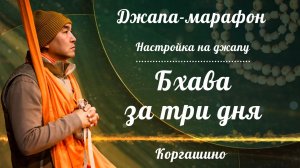 2026.08.02 - Джапа-марафон. Настройка на джапу. Бхава за три дня. Е. С. Даяван Свами