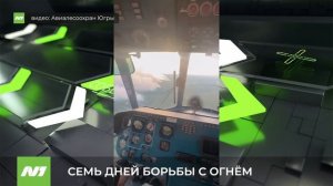Семь дней спасатели тушили лесной пожар вблизи Нижневартовска