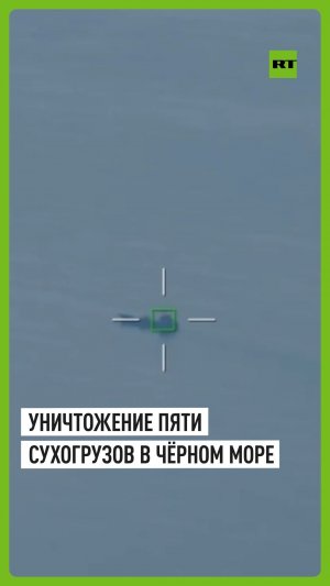 Российские дроны «Герань-4 Сикер» поразили пять сухогрузов у Николаева и Одессы