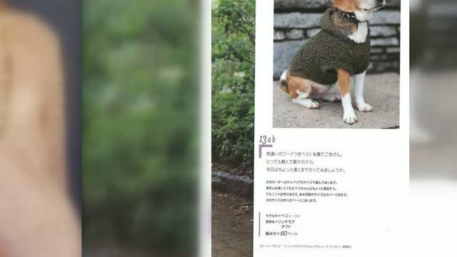 000 000 056# Welcome, как жилет собачке спицами  🐶#Библиотека рукоделия#