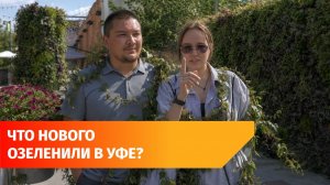 Вертикальное озеленение, зеленые стены и заборы. Проверяем новые виды благоустройства в Уфе