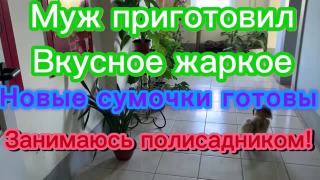 Муж приготовил жаркое! Две новые сумочки! Занимаюсь полисадником!