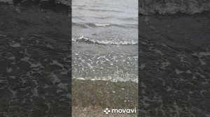 Соленые озера и лечебная грязь села Межводного Западный Крым.