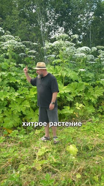 Вам тоже кажется, что это красивый цветок? Не спешите с выводами #ферма #растения #природа