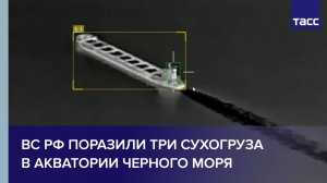 ВС РФ поразили три сухогруза в акватории Черного моря