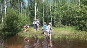 20260802. Однодневная прогулка