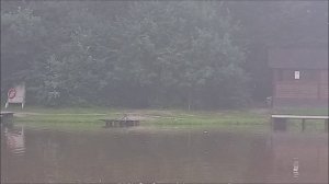 Поимки карпа на Верхнем водоёме. Клёвое место лосиный остров.