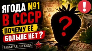 Куда исчезла легендарная ЯГОДА №1 В СССР - ПОЧЕМУ ЕЁ БОЛЬШЕ НЕТ? и что вместо неё продают