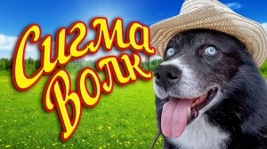Сигма волк