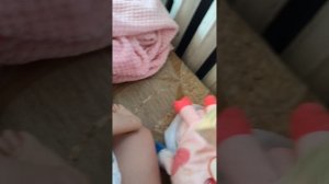 2282.mp4