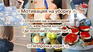 Уборка, готовка 🌸 Пятерочка чудит !  Ответы на коментарий