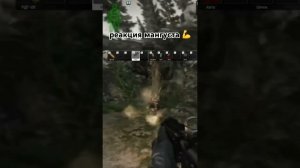 реакция мангуста #eft #тарков #escapefromtarkov #tarkov