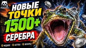 🤑 ТОП-3 ТОЧКИ ФАРМА и РАЗДАЧИ ТРОФОВ РР4 (05.08)! СВОДКА по ВОДОЕМАМ! МЕДНОЕ • ОСТРОГ • ЯНТАРКА