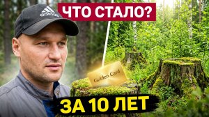 МОИ ДЕЛЯНКИ 7 ЛЕТ СПУСТЯ! Проведал грибы, которых НЕТ. Проверил дорогу до ИЗБЫ.