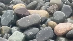 МОРЕ И СКАЗОЧНАЯ МЕЛОДИЯ ЛЮБВИ