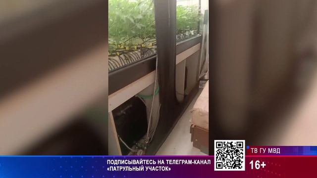 Патрульный участок 05.08.2026