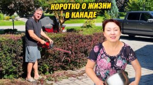 КАК ВЫЖИВАЮТ РУССКОЯЗЫЧНЫЕ ДАЛЬНОБОЙЩИКИ В КАНАДЕ:  Собираем урожай, готовим овощное рагу и в путь