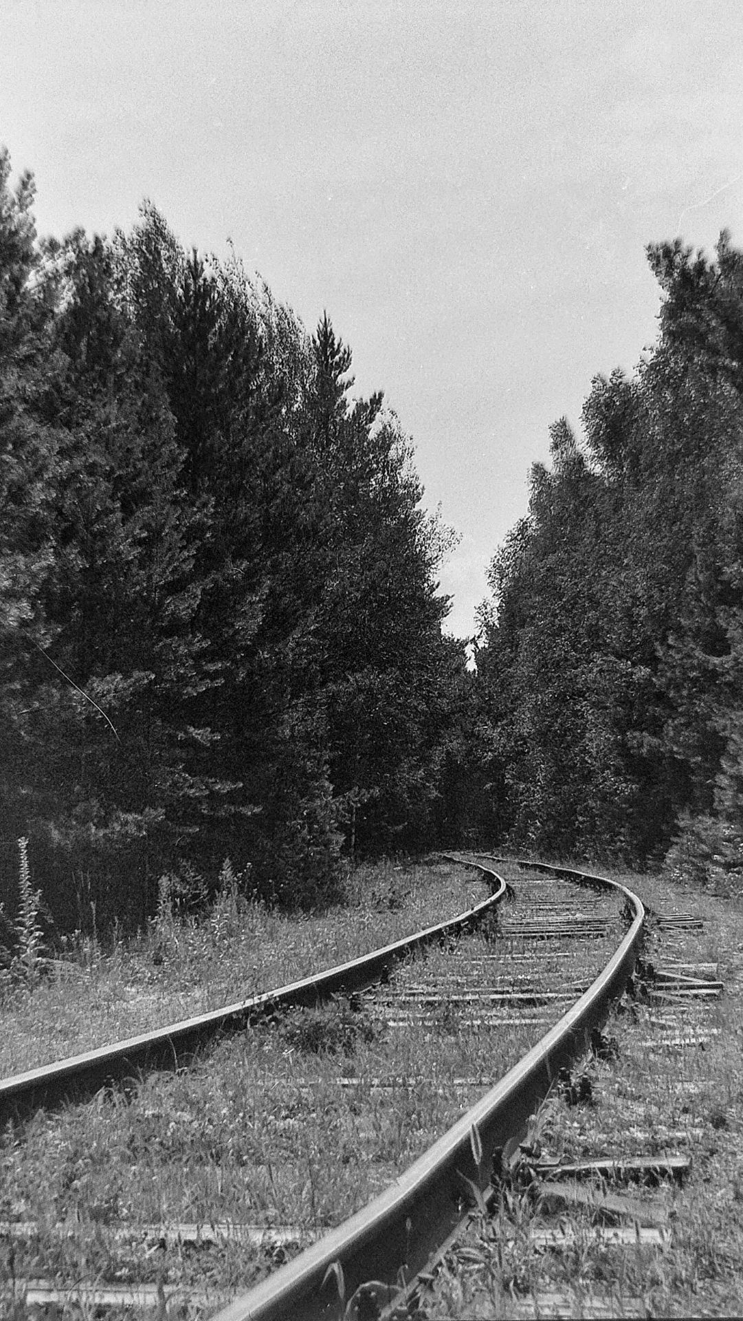 Москва-5 + Ilford SFX 200