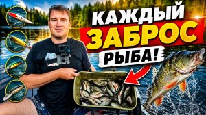 РЫБАЛКА С ЛОДКИ / ОКУНЬ НА СПИННИНГ