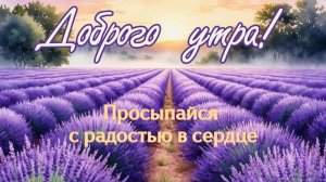 Доброе теплое утро августа. Красивая музыкальная открытка.