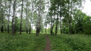 прогулка в лесу серия 21