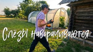 Слёзы наворачиваются.