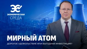 Атомная энергетика Беларуси: будет ли вторая АЭС? Экономическая среда