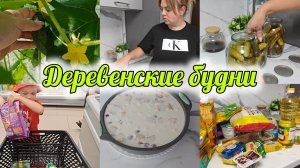 РАСПАКОВКА ЧИЖИК🛍К РОДИТЕЛЯМ НА КАРТОШКУ 🥔И СНОВА ПРО ОГУРЦЫ 🥒ЛЕТНИЙ ДЕСЕРТ БЕЗ ВЫПЕЧКИ 🤗
