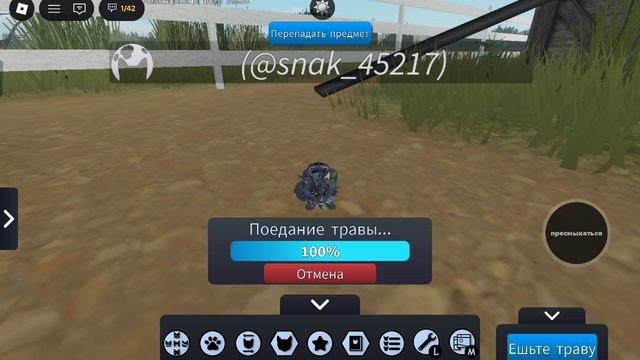 котом-воителем в ROBLOX