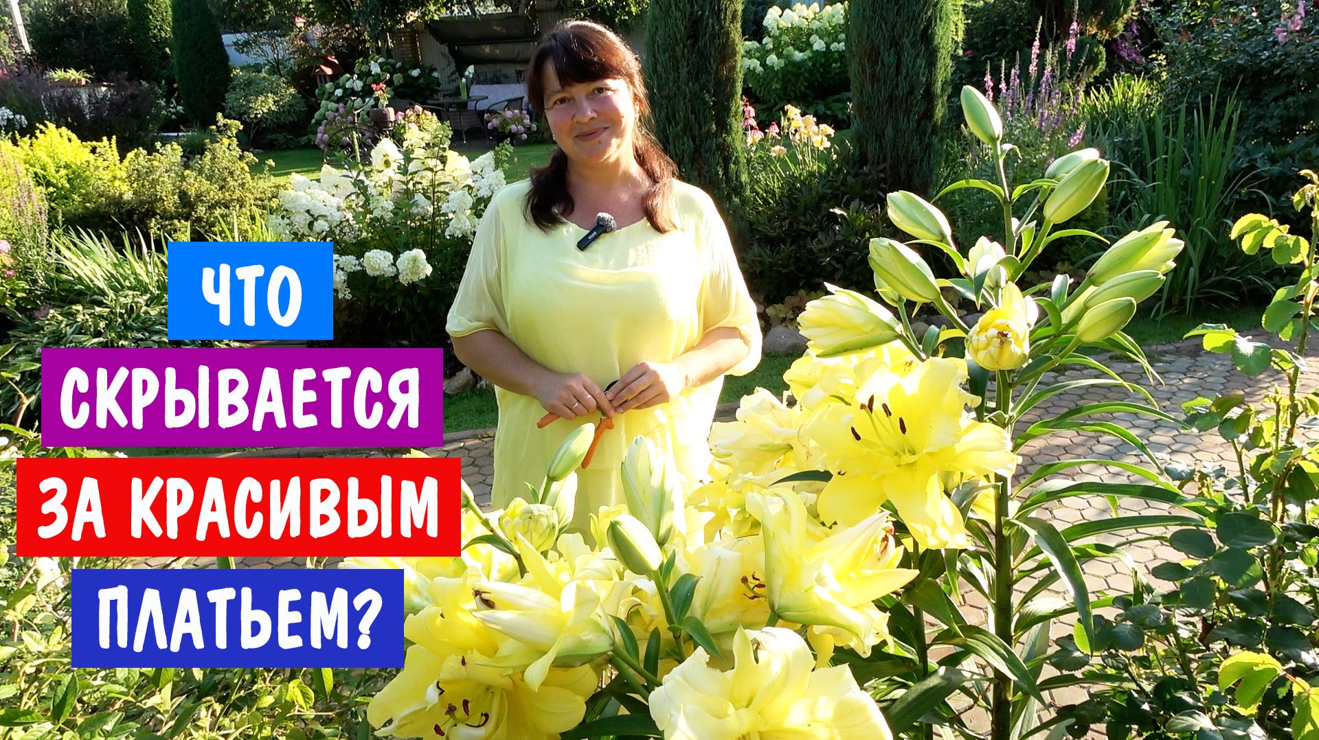 САД БЕЗ ФИЛЬТРОВ. Быстро только в шортсах! Генеральная уборка после дождей и холодов.