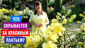 САД БЕЗ ФИЛЬТРОВ. Быстро только в шортсах! Генеральная уборка после дождей и холодов.