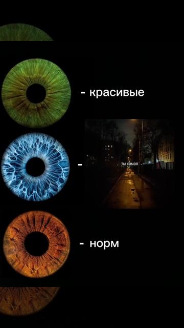 зелые еще не нашла(БЕРУ В ПИНТЕРЕСТН!!!)