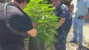 Арҩышьыгатә маҭәашьарқәа злоу аҵиаа аныцә ашьапқәа рымхуп Баслахә ақыҭан.
