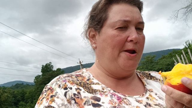 Абхазия Пицунда Лдзаа персики и храм