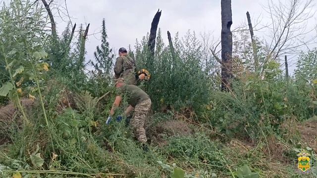 Профилактика
