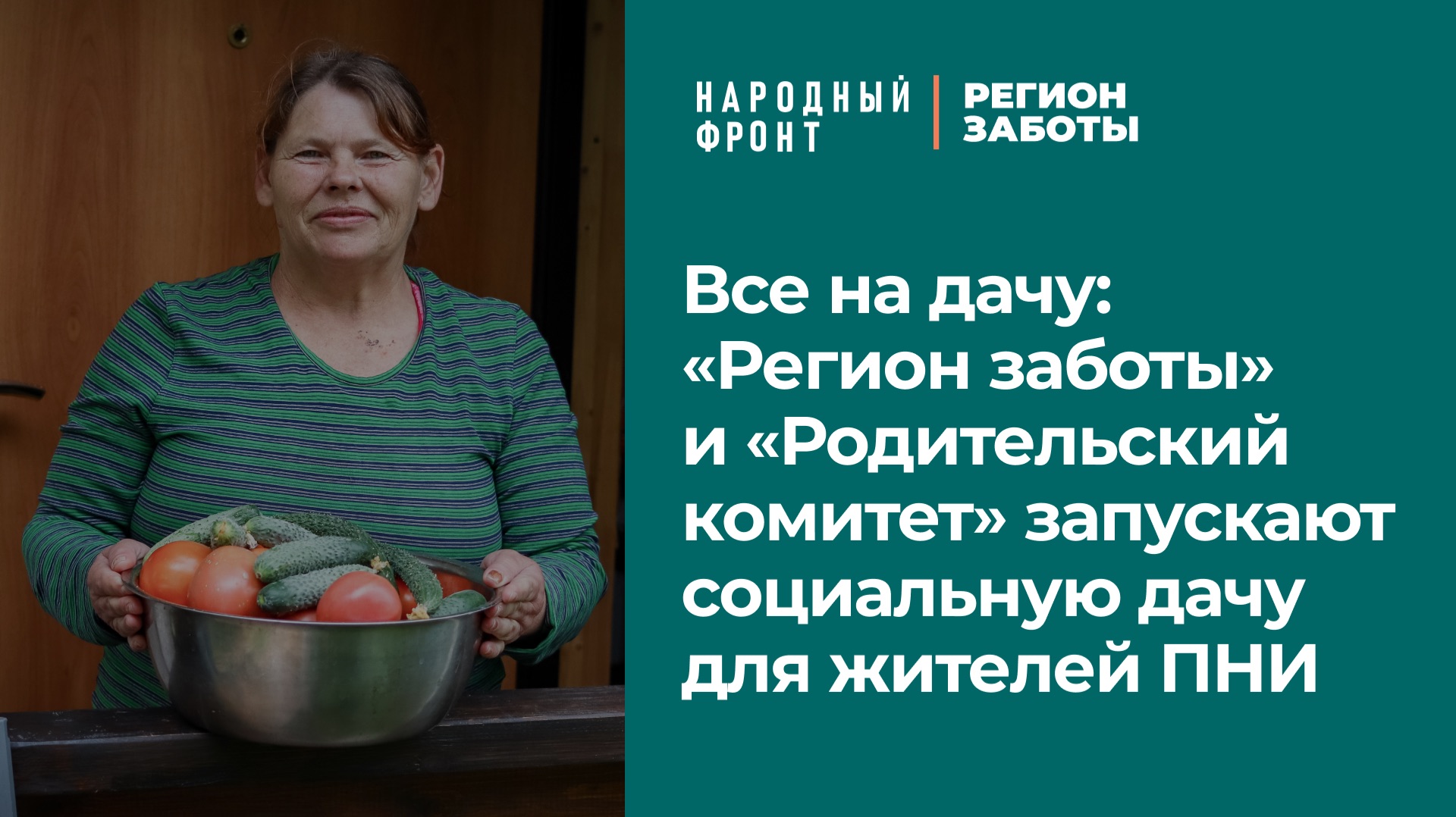 Запускаем социальную дачу!