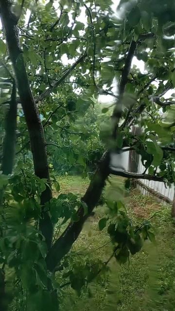 — Когда же этот дождь закончится?  — Дождь не может идти вечно.(Из к/ф 