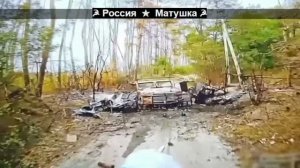 🔴«Гоп-стоп Канада!»🔴