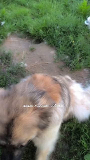 слышали это сегодня?
Не за что? Я найду! 
Пиши в комментарияхэто важно услышать каждой #подростки #о