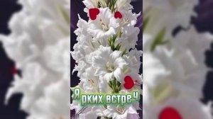 Четверг.С добрым утром....