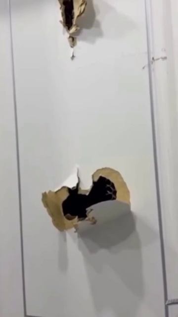 Каждый раз кому-то нужно в туалет, когда я там сижу😅
