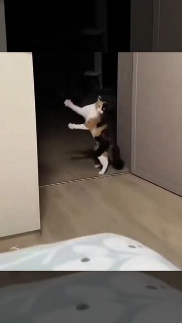 танцы