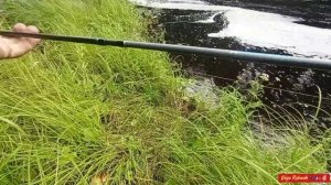 Очередная щучка на убитый STRIKE PRO🎣🐊✌🏻