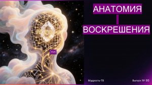 Выпуск № 93.  АНАТОМИЯ ВОСКРЕШЕНИЯ!