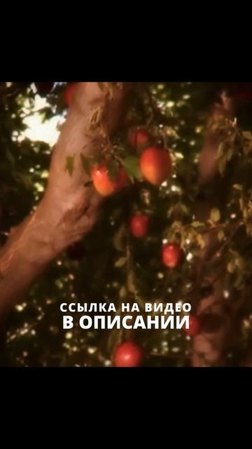 Безос - это второй Маск?