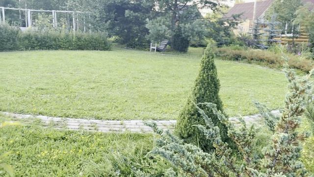 Жарища. Сидим около вентилятора. Лучшие прогулки на даче. Уезжаю