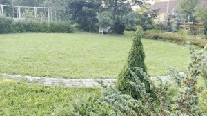 Жарища. Сидим около вентилятора. Лучшие прогулки на даче. Уезжаю