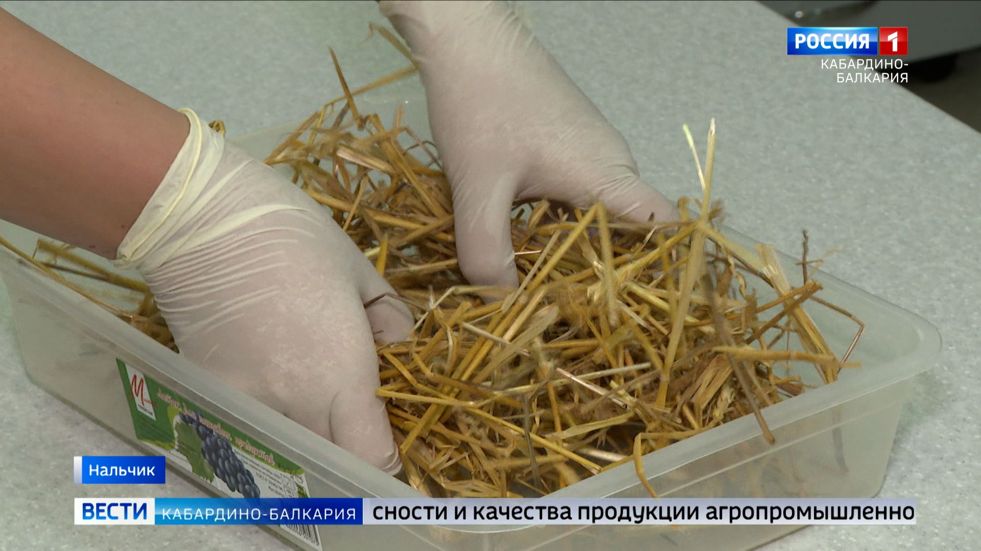 В Кабардино-Балкарии эксперты проверяют качество кормового сена